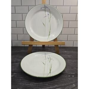 Corelle Shadow Iris Dinner Plate 10.25” & Luncheon Plate 9” Purple Floral USA